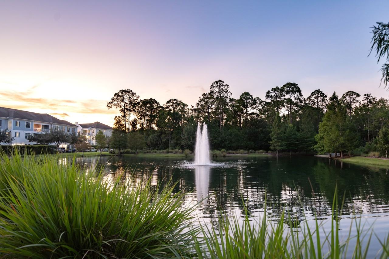 Evander Square - Photo 7 of 31