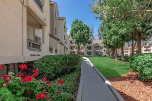 Paloma Vista - Photo 1 of 1