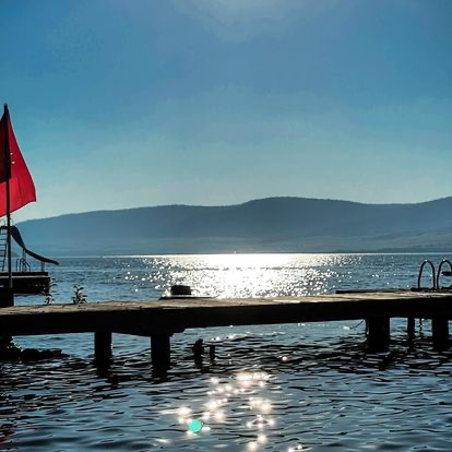 42546 La Bella Ln - Photo 5 of 20