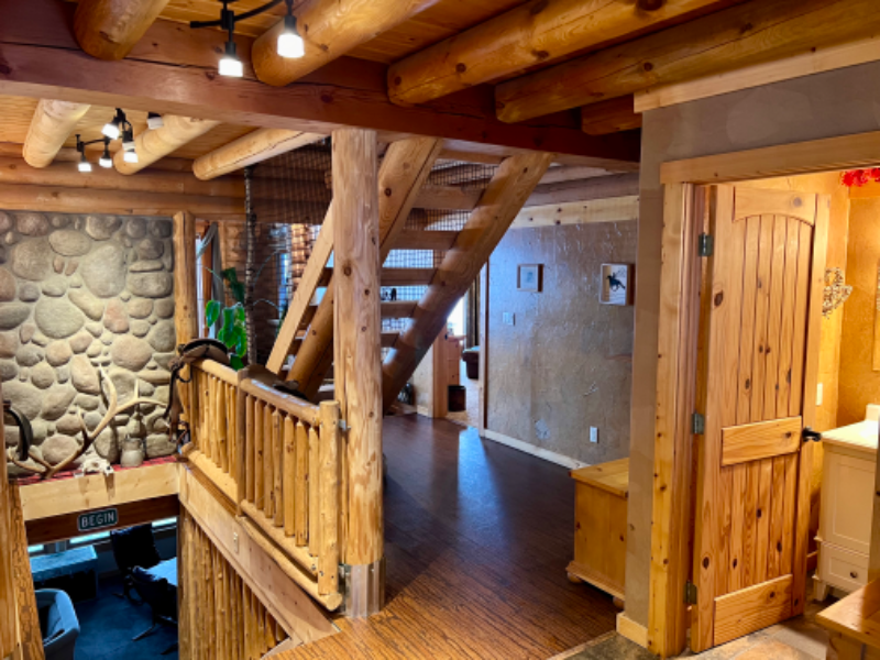 42546 La Bella Ln - Photo 7 of 20