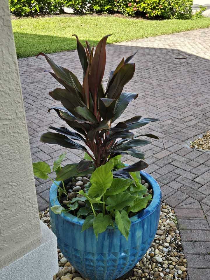 3720 Weymouth Cir #NA - Photo 5 of 50