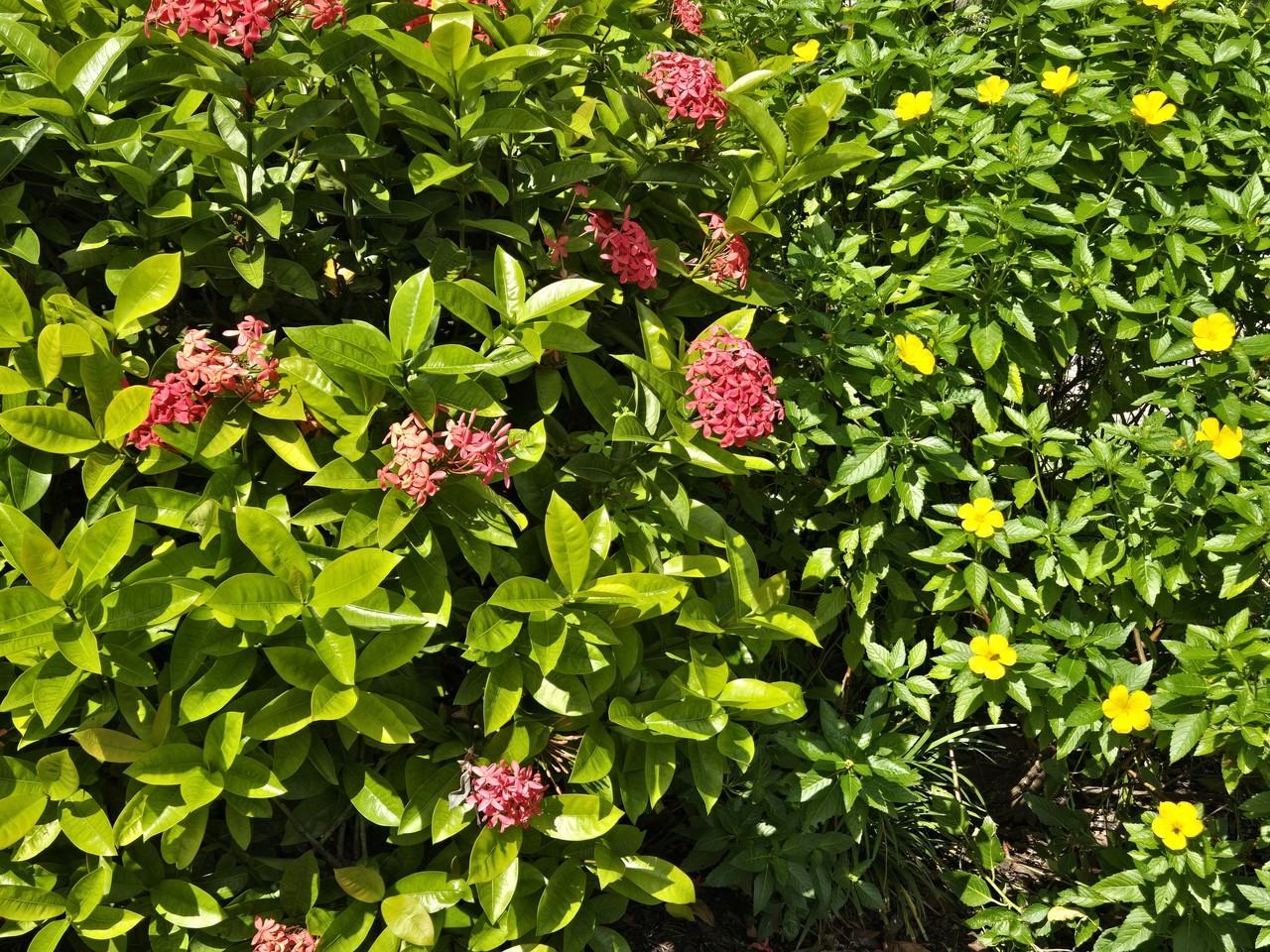 3720 Weymouth Cir #NA - Photo 6 of 50