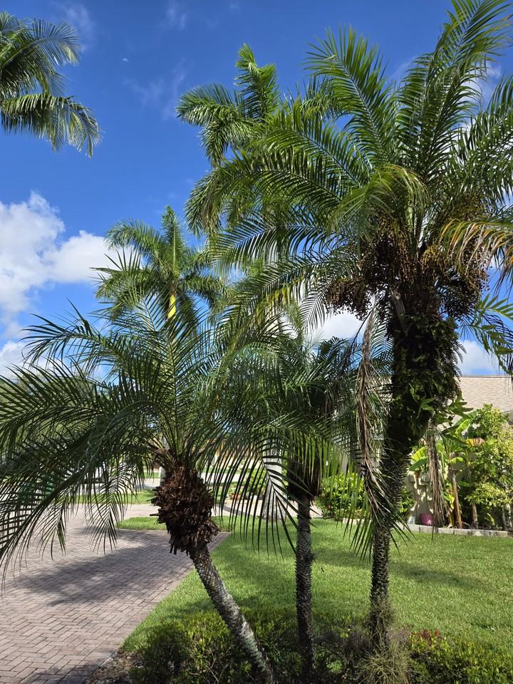 3720 Weymouth Cir #NA - Photo 7 of 50