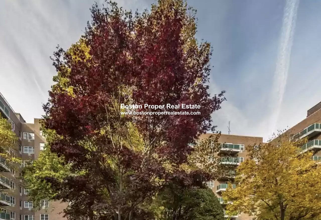 185 Freeman St #542K - Photo 2 of 15