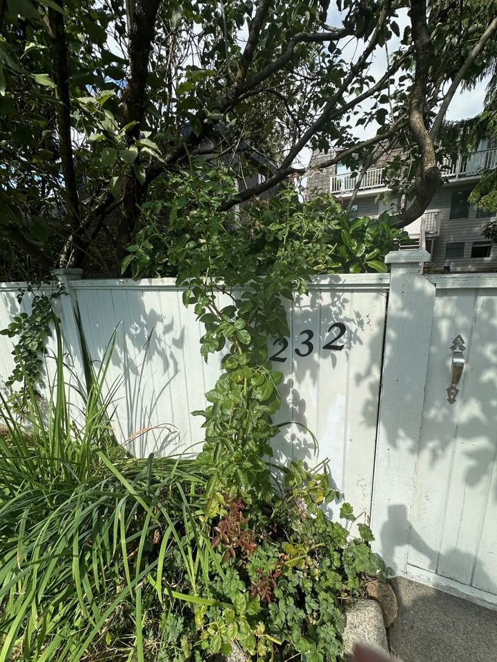 232 17th Street East - Photo 3 of 16