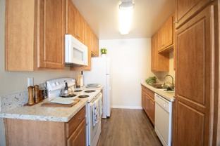 Gold Coast Apartments - Photo 1 of 1