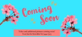 21 Fairbanks St #02 - Photo 1 of 1