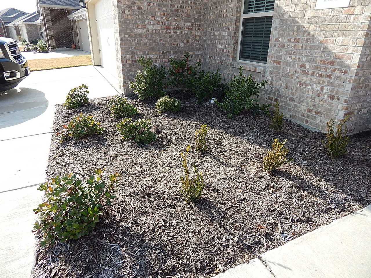 1217 River Oak Ln - Photo 2 of 20
