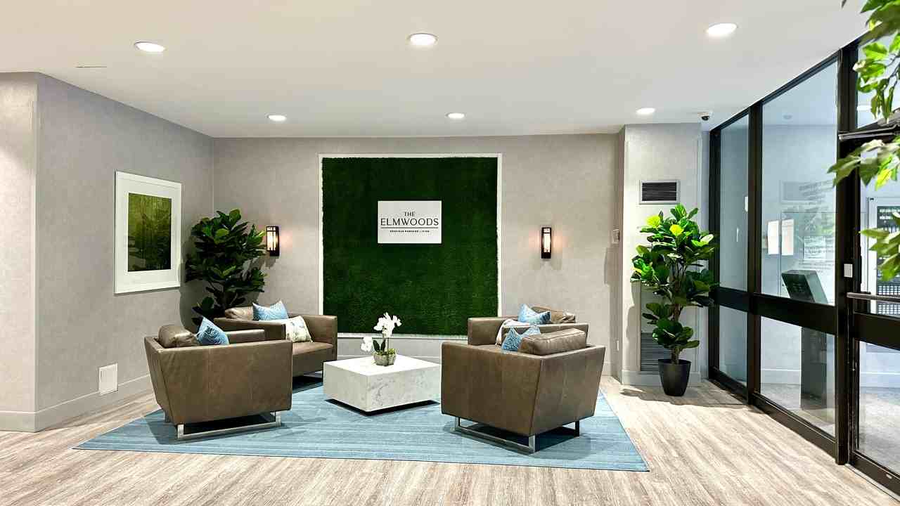 The Elmwoods - Photo 3 of 18