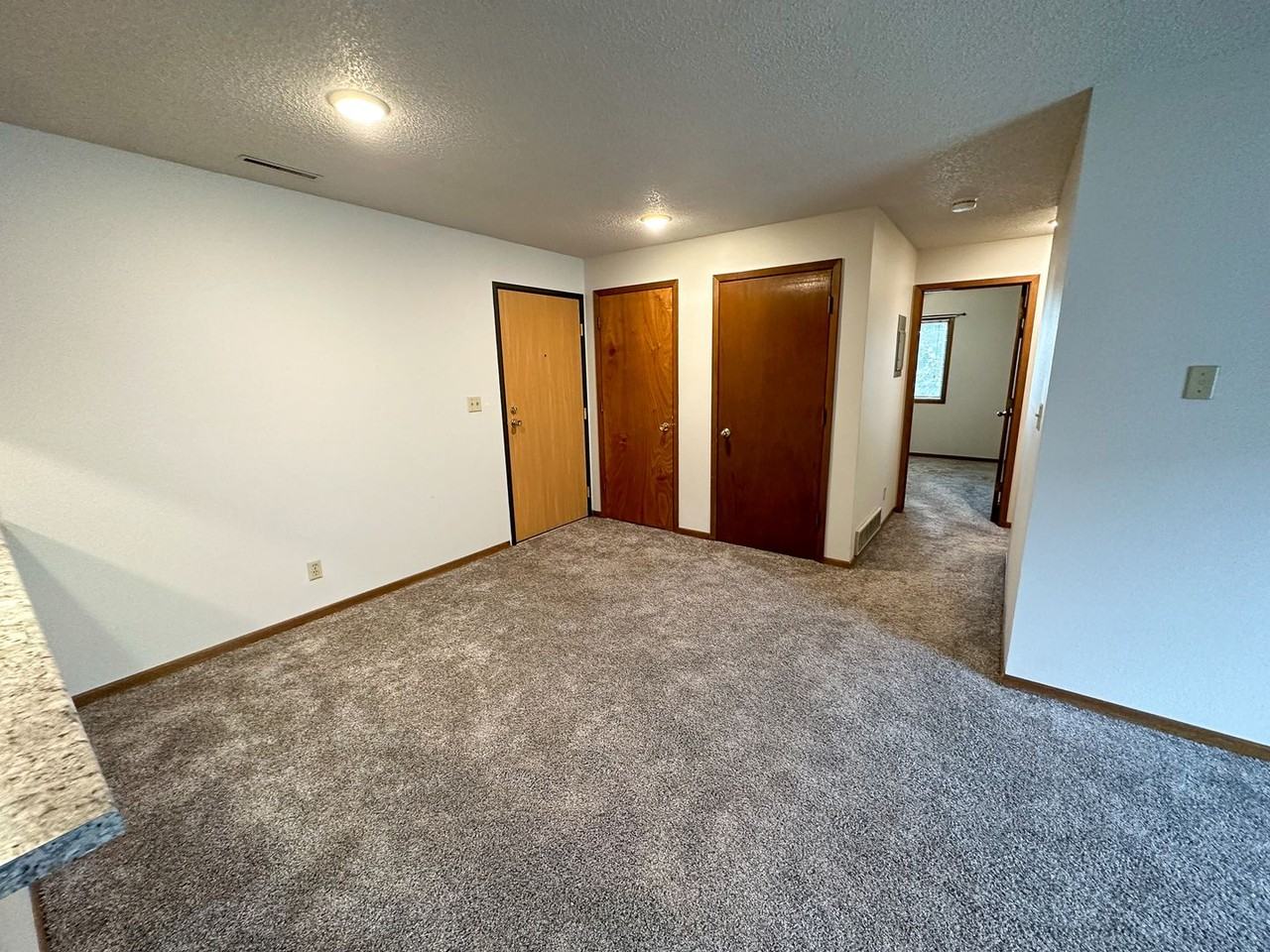 1225 Delaware - Photo 4 of 42