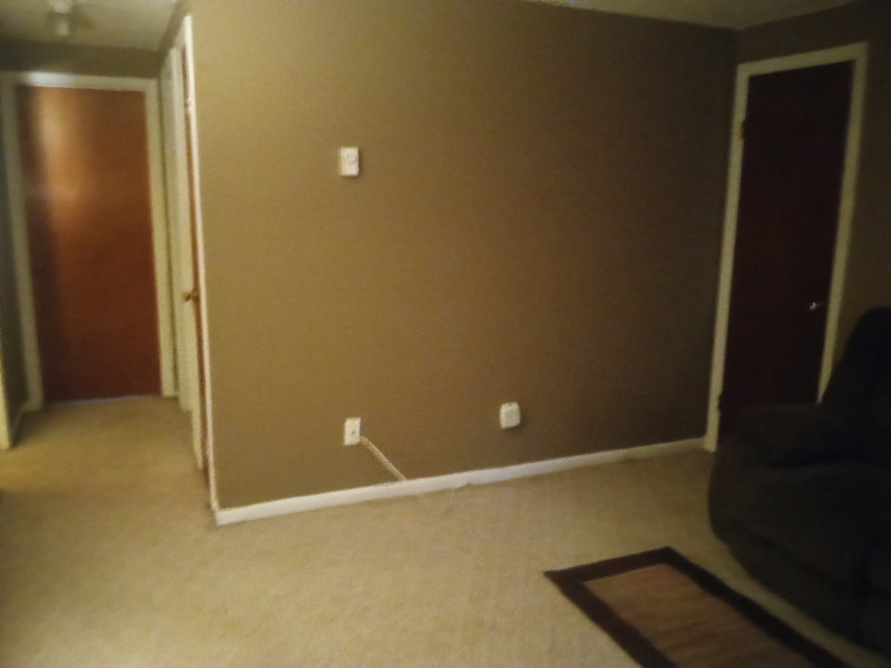 1254 Pall Mall St #1 - Photo 3 of 6