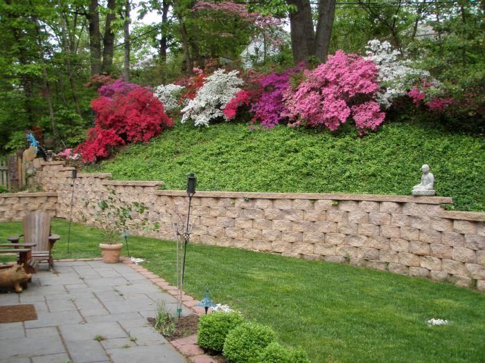 3007 Crest Ave #NA - Photo 2 of 13