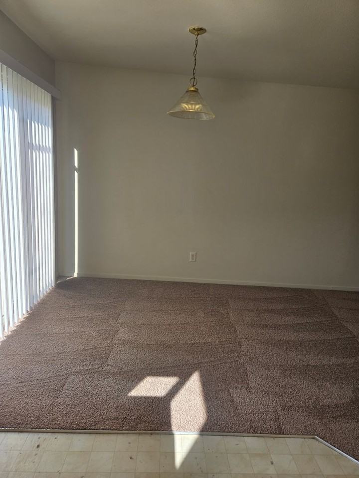 426VA-Richman, Elfie - Photo 2 of 9