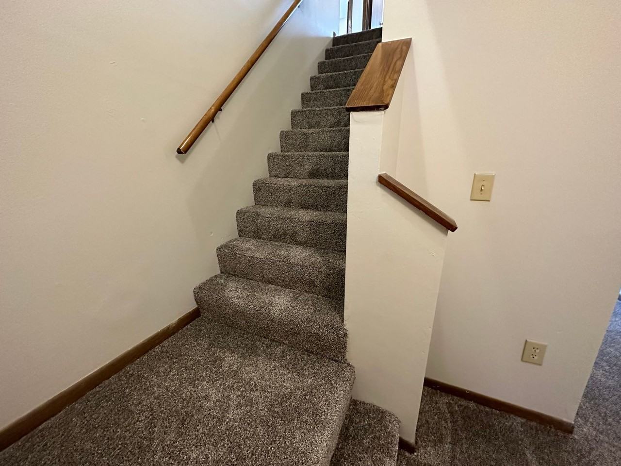 1525 Little Bluestem Ct - Photo 6 of 36