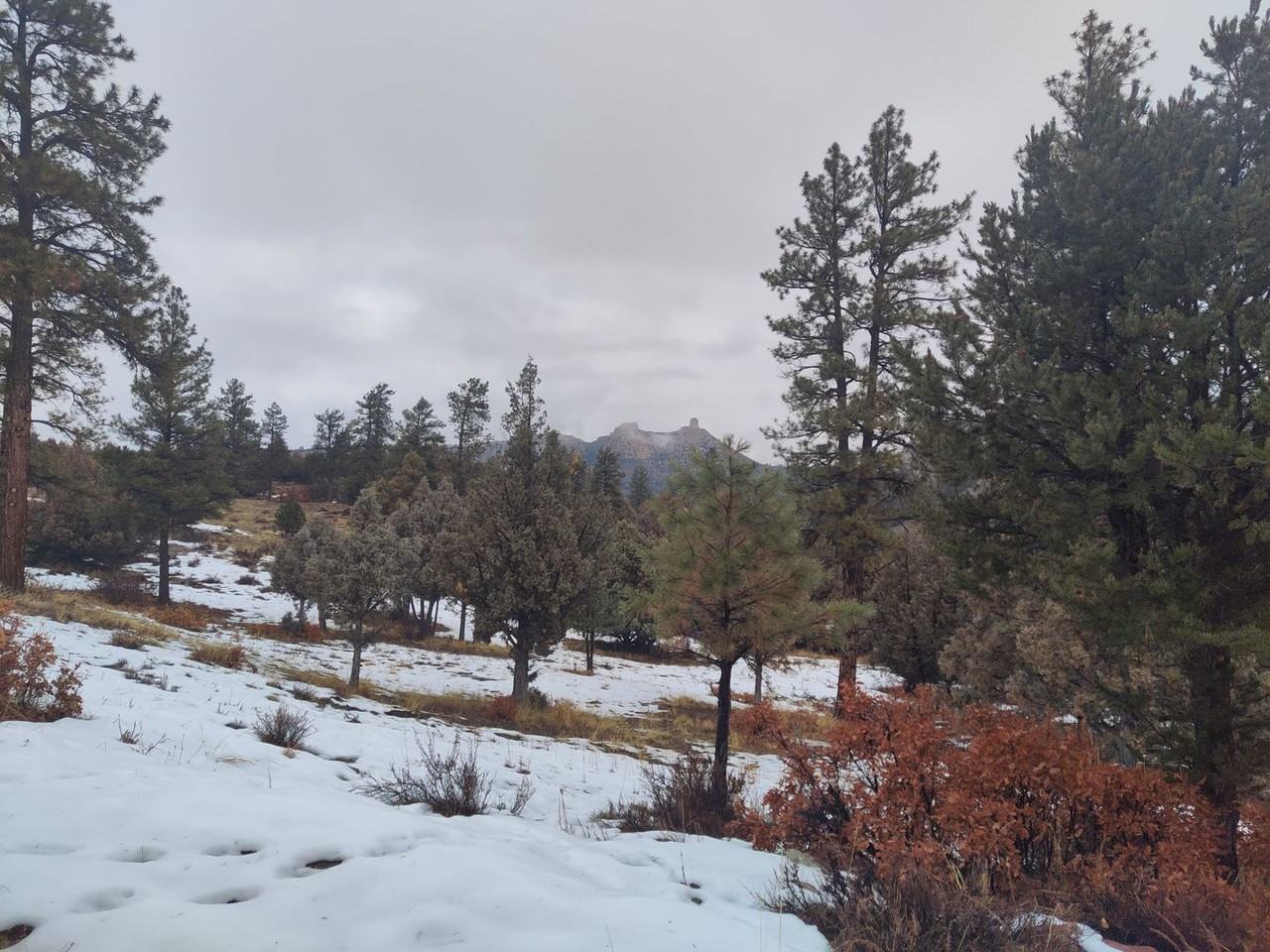 917 1001A County Road 917 - Photo 4 of 19