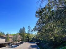 Rheem Blvd - Photo 1 of 1