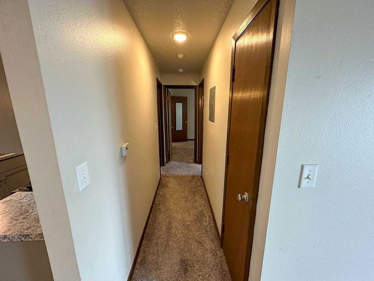 4518 Hutchison - Photo 7 of 43