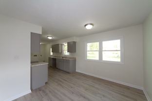 4618 Candy Spots Dr - Photo 1 of 1