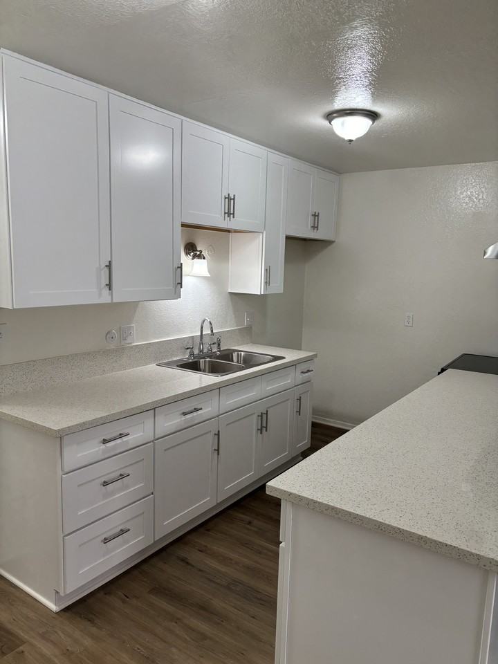 34041 Violet Lantern St #B - Photo 2 of 13