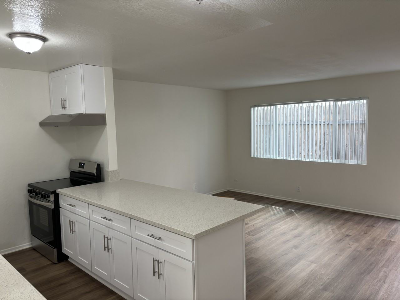 34041 Violet Lantern St #B - Photo 3 of 13