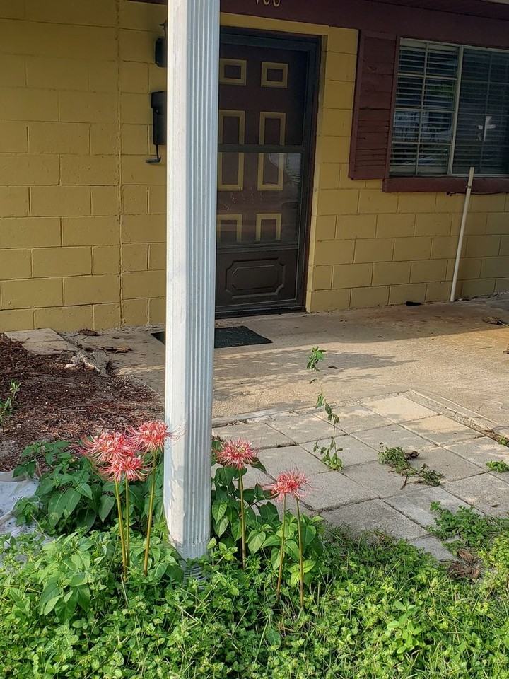 100 Tennessee Dr - Photo 2 of 24