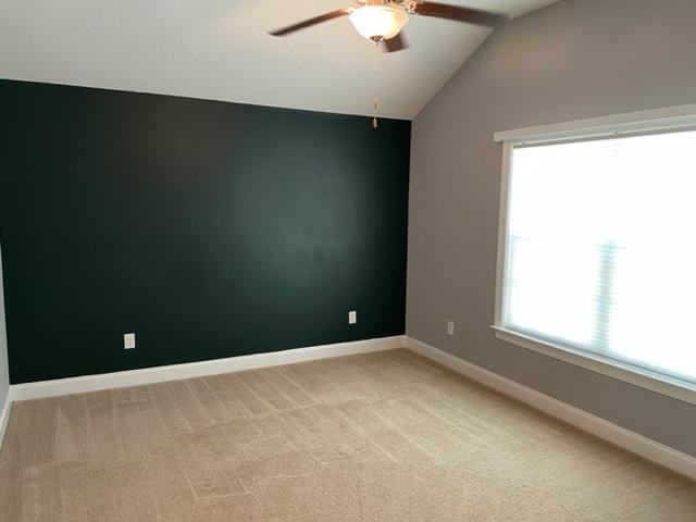 305 Macarthur Drive - Photo 7 of 14