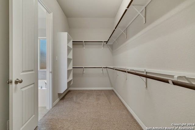 32140 Cardamom Way - Photo 5 of 47