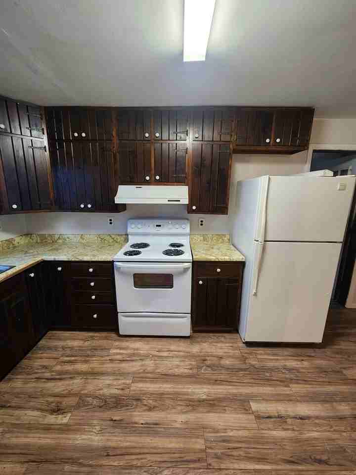 2317 Richmond Ave - Photo 5 of 14