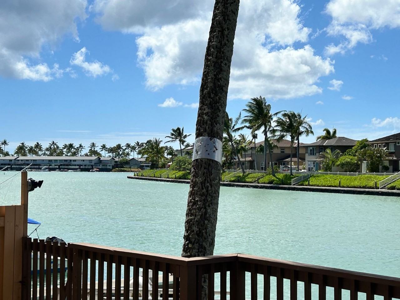 444 Lunalilo Home Rd #310