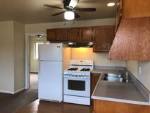 Indian Court - Photo 1 of 1