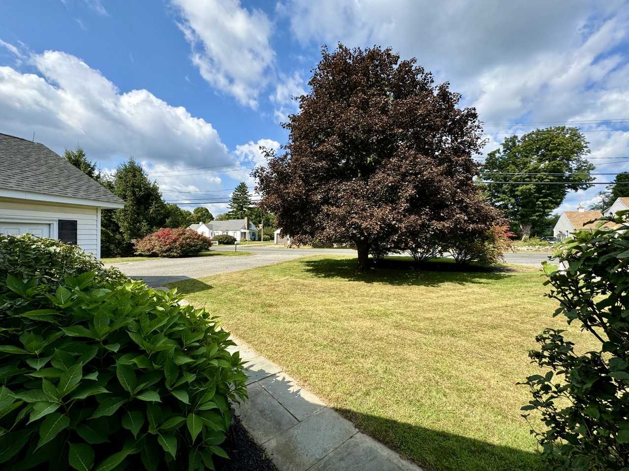 336 Norfolk Rd #NA - Photo 3 of 49