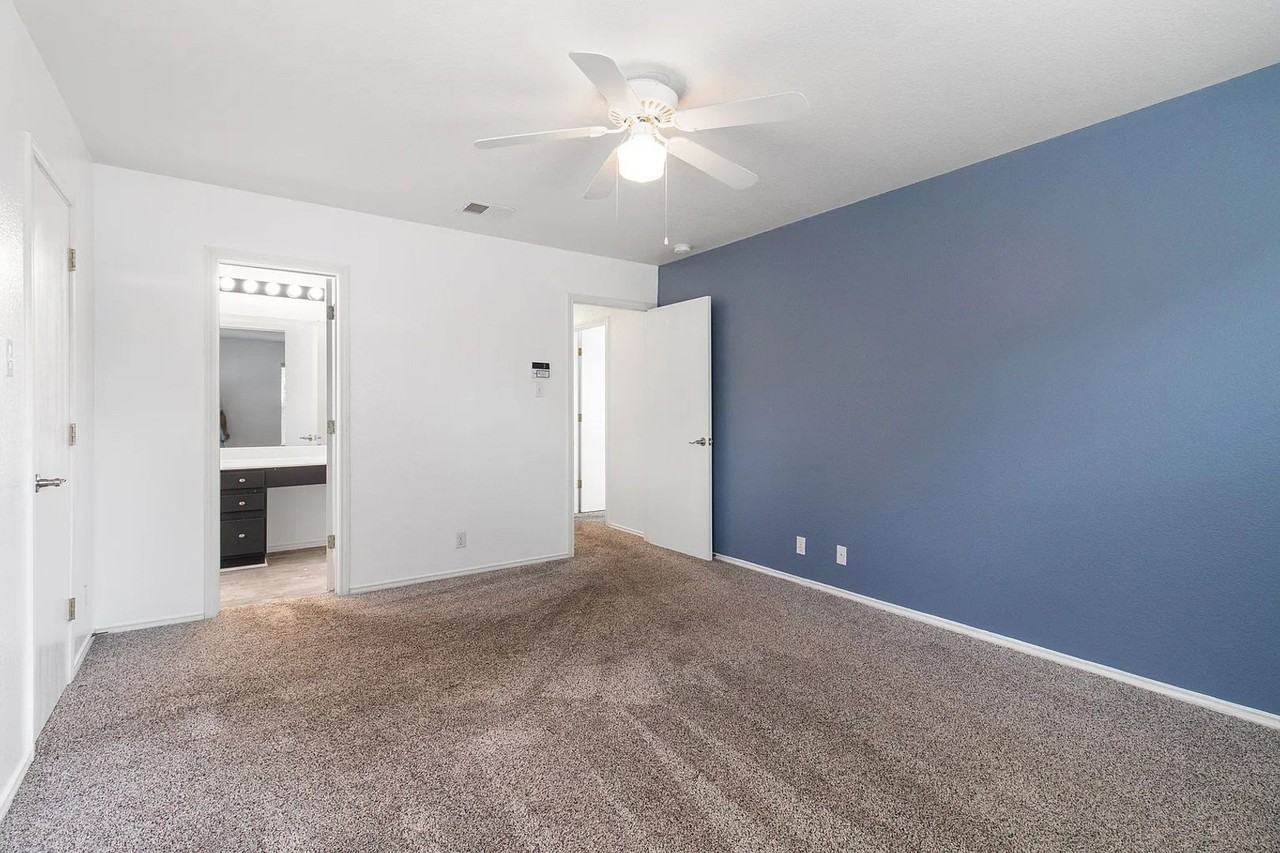 2219 Boxer Palm - Photo 3 of 18