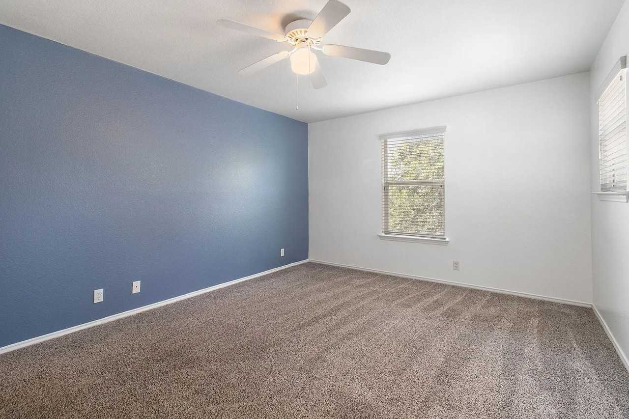 2219 Boxer Palm - Photo 5 of 18