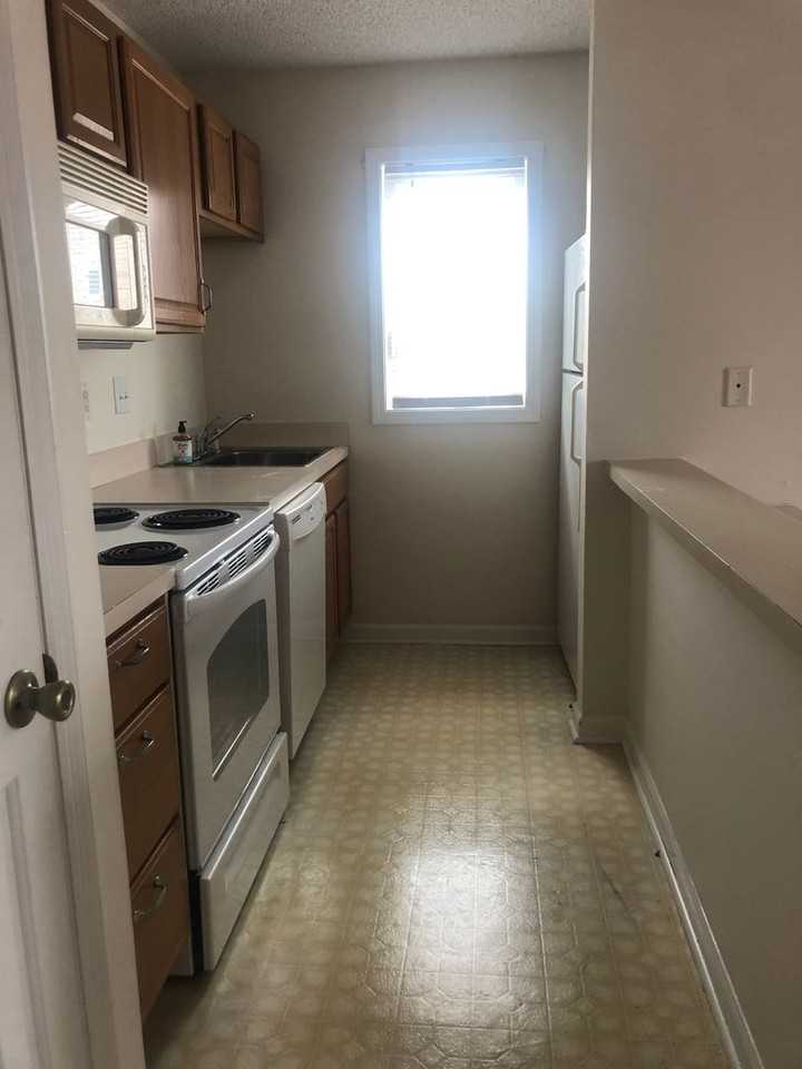 204 Double Eagle Dr - Photo 7 of 18