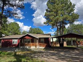 featured image of 106 Aspen Cir