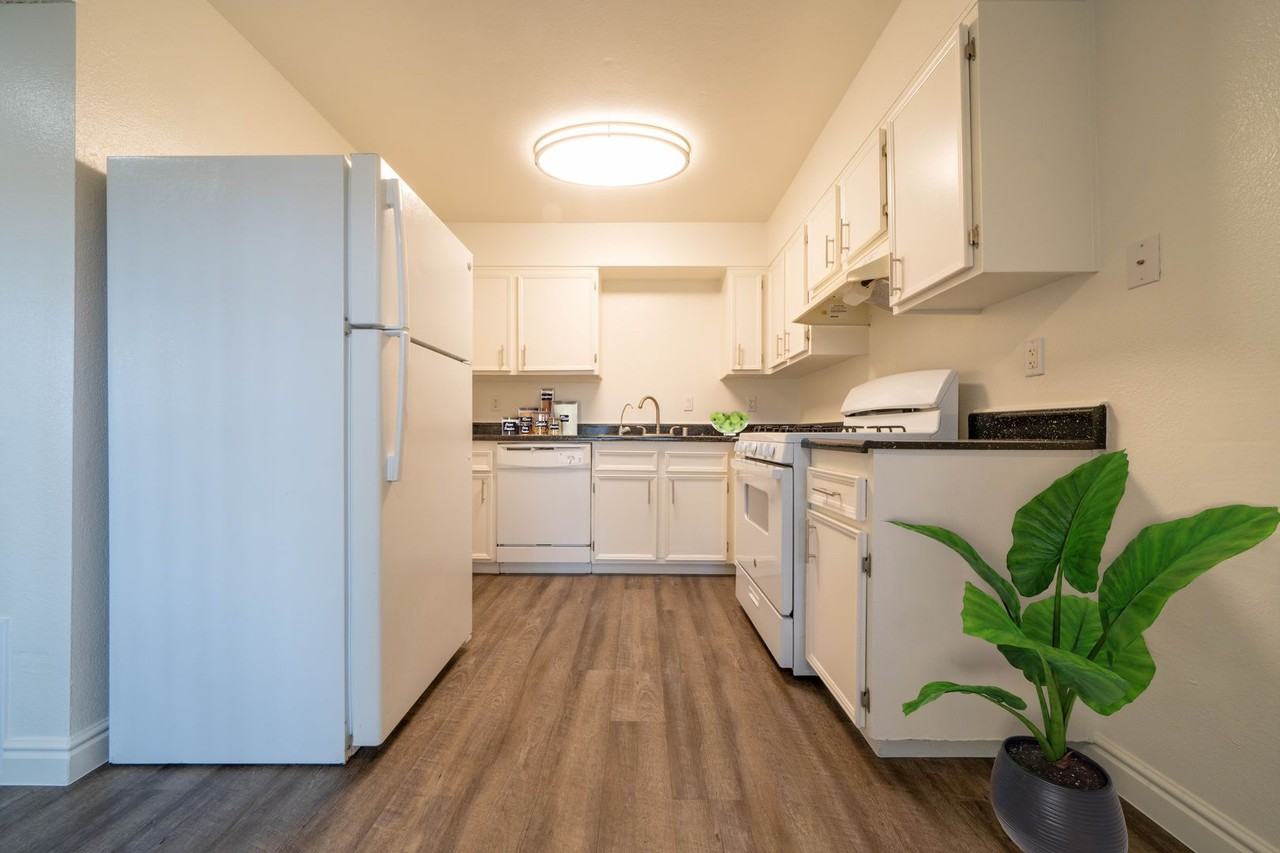 Your Vibrant New Home - Photo 2 of 12