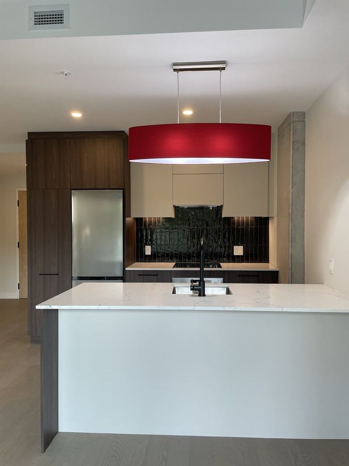 5605 Av Pierre-De Coubertin #207 - Photo 3 of 25