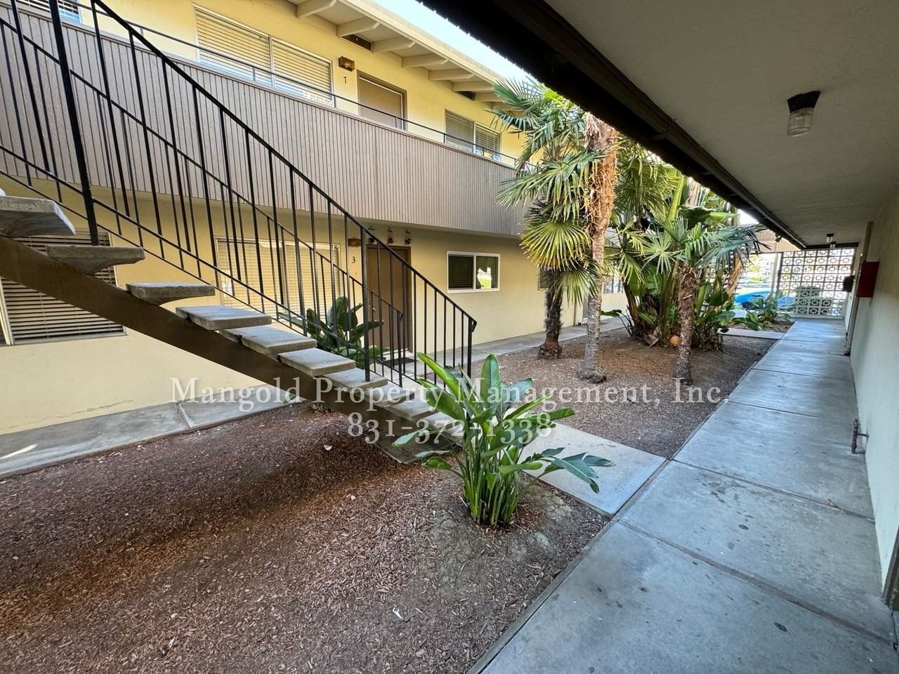 611palma - Photo 3 of 3