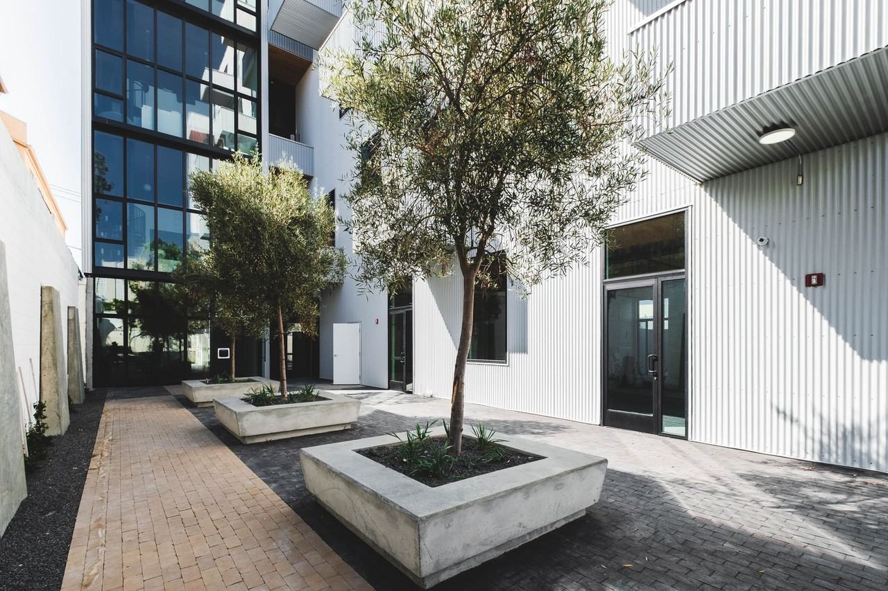 Niima - Photo 6 of 9