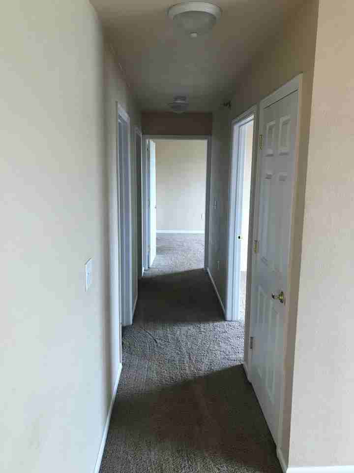 Rysewyk 8-plex - Photo 5 of 18