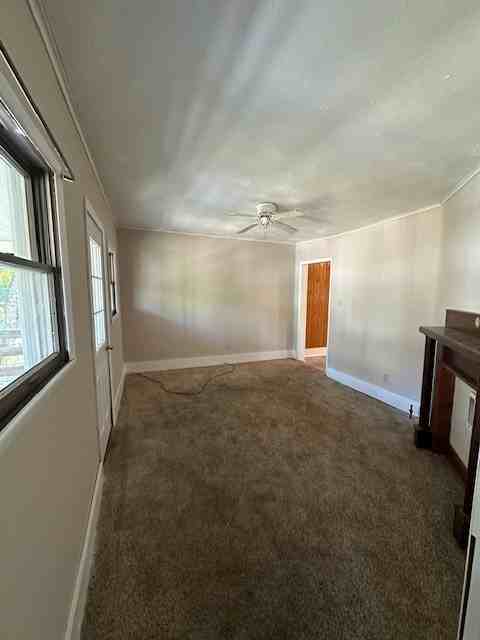 Prospect - Photo 3 of 9