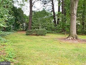 204 Madison Ave - Photo 3 of 15