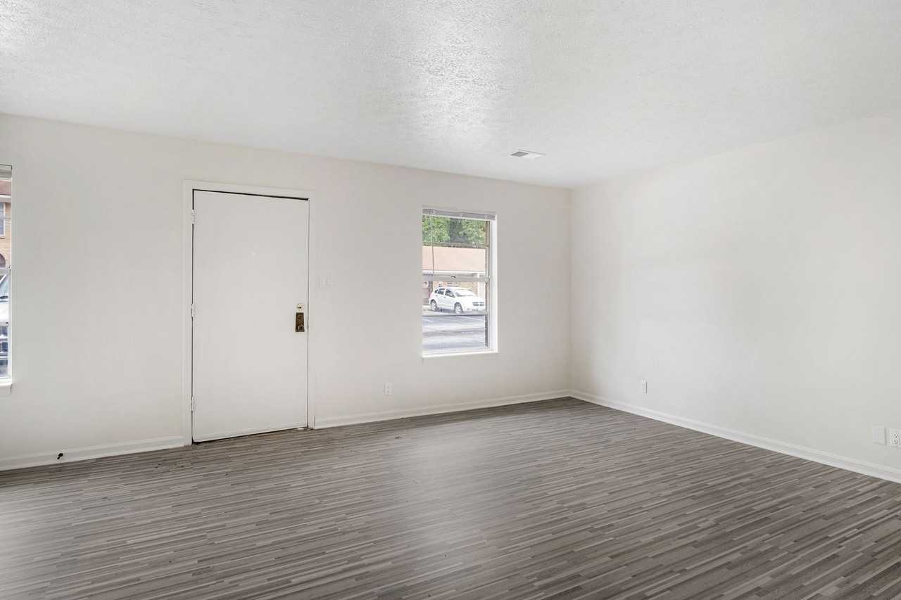 Dixie Downs - Photo 4 of 16