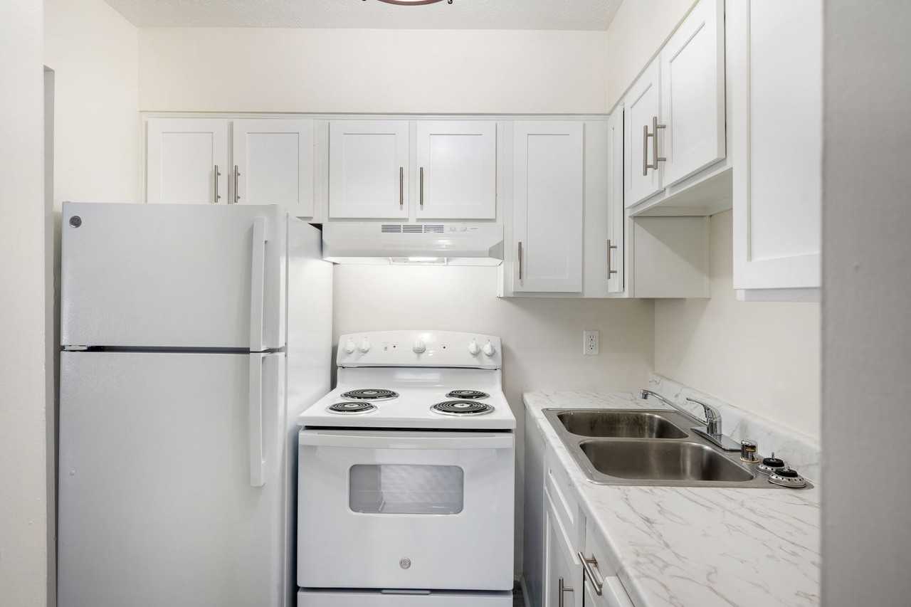 Dixie Downs - Photo 7 of 16