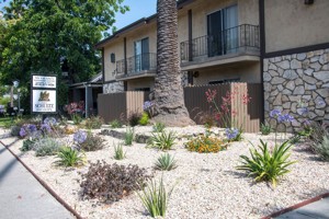 featured image of 734 E Mountain St