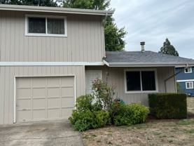 Bailey - Photo 1 of 1