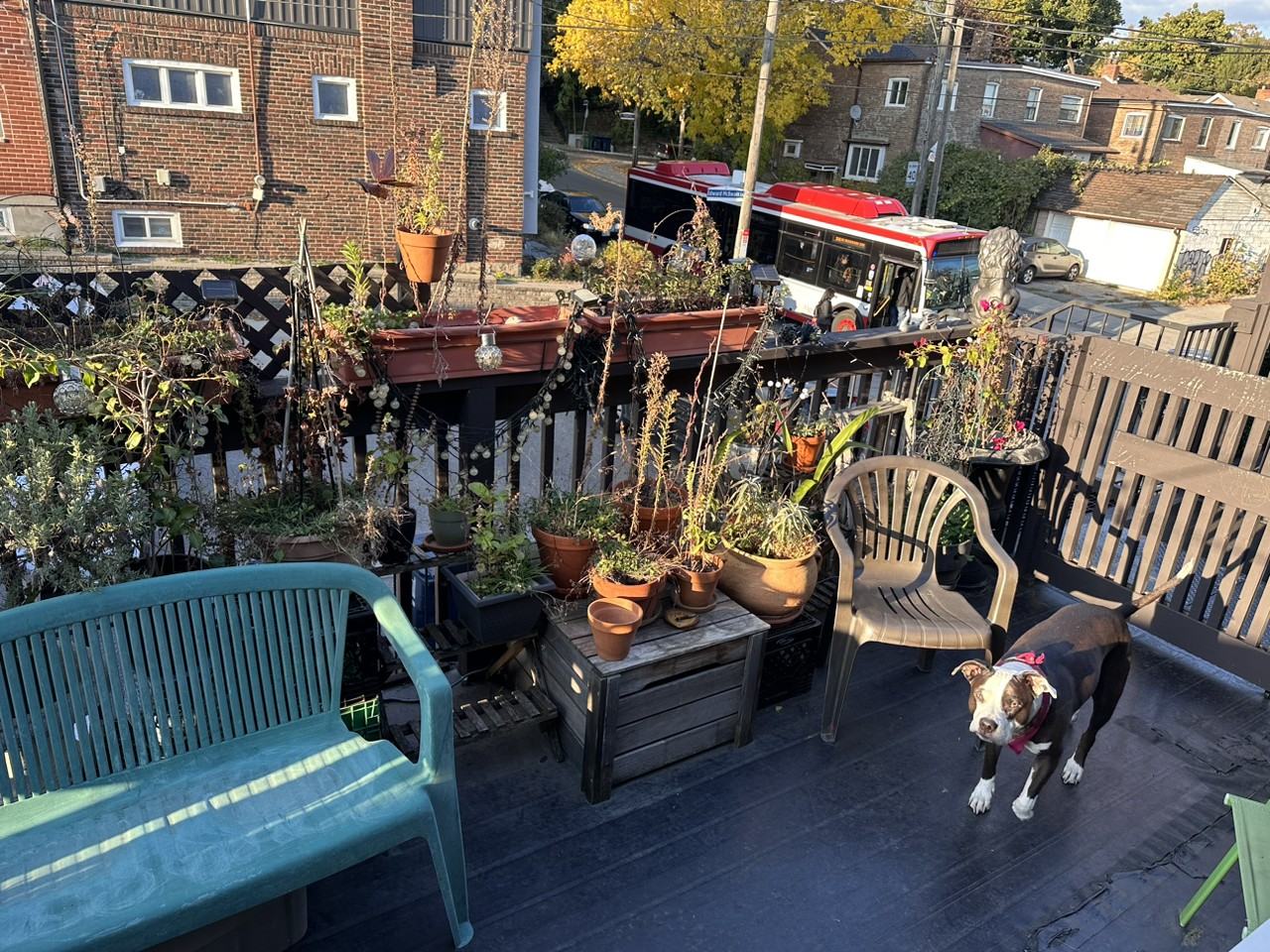 Davenport Rd - Photo 3 of 8