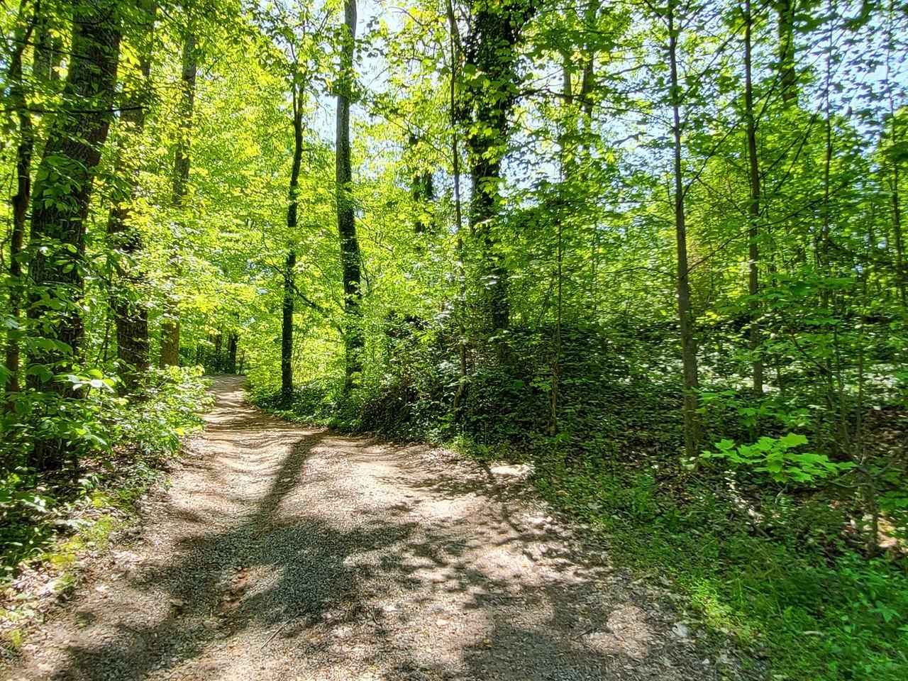 243 Chase Dr - Photo 2 of 13