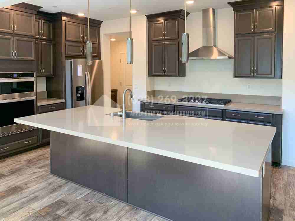 89 Lemon Twist Ct - Photo 3 of 17