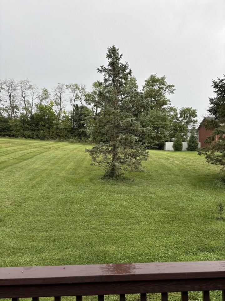 1069 Brandy Ln #A - Photo 3 of 19